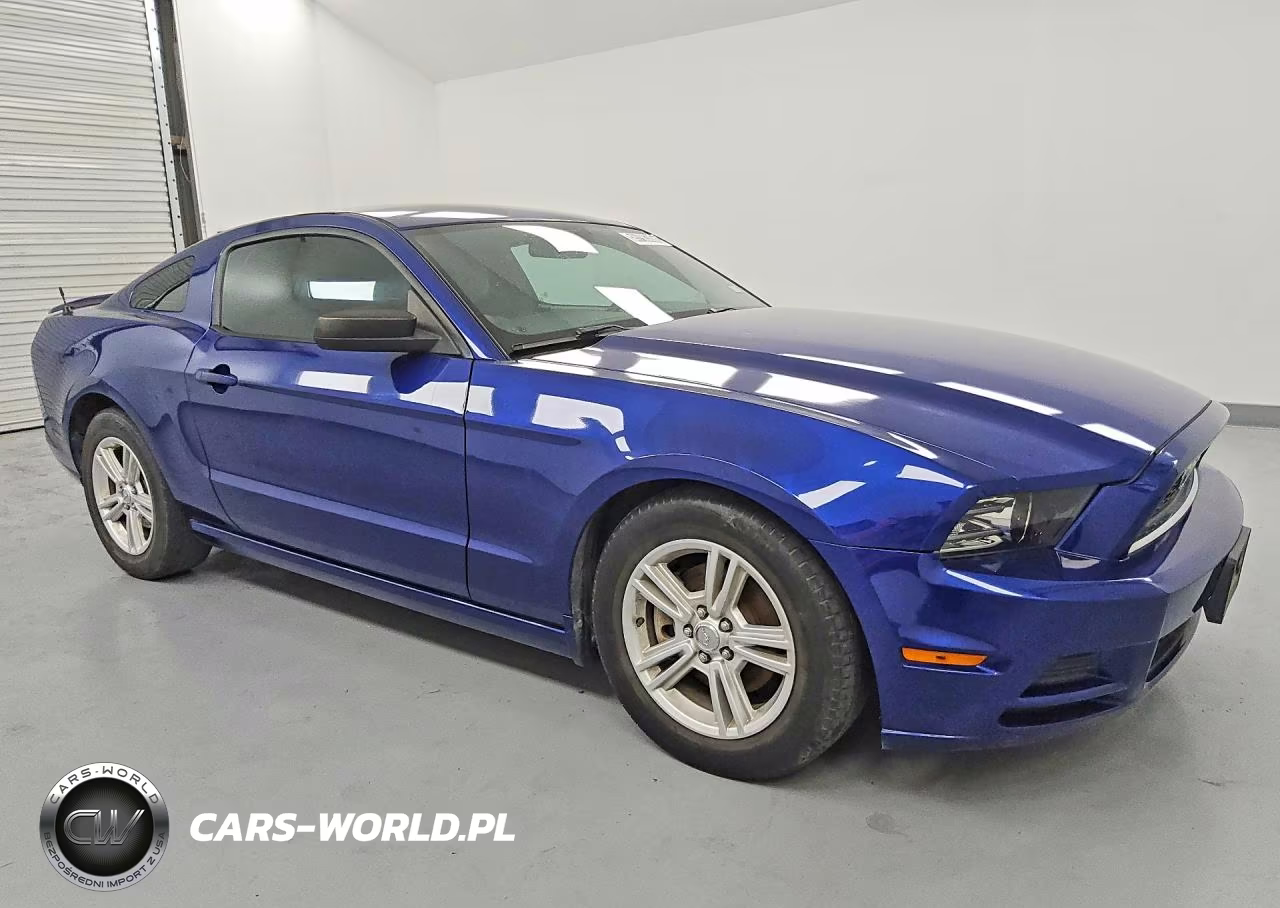 2013 Ford Mustang VIN:1ZVBP8AM9D5281824 - 4