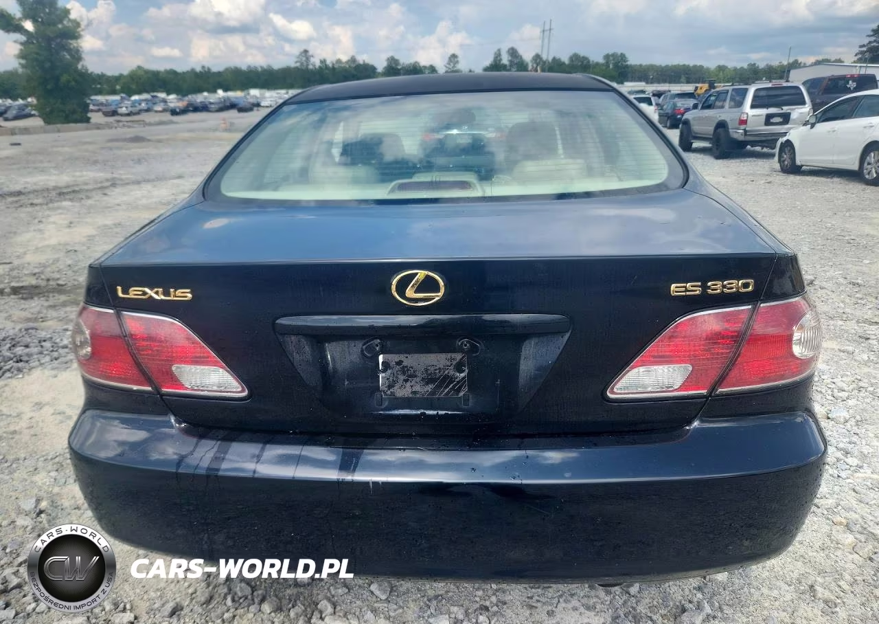2004 Lexus Es 330 Base VIN:JTHBA30GX45013558 - 6