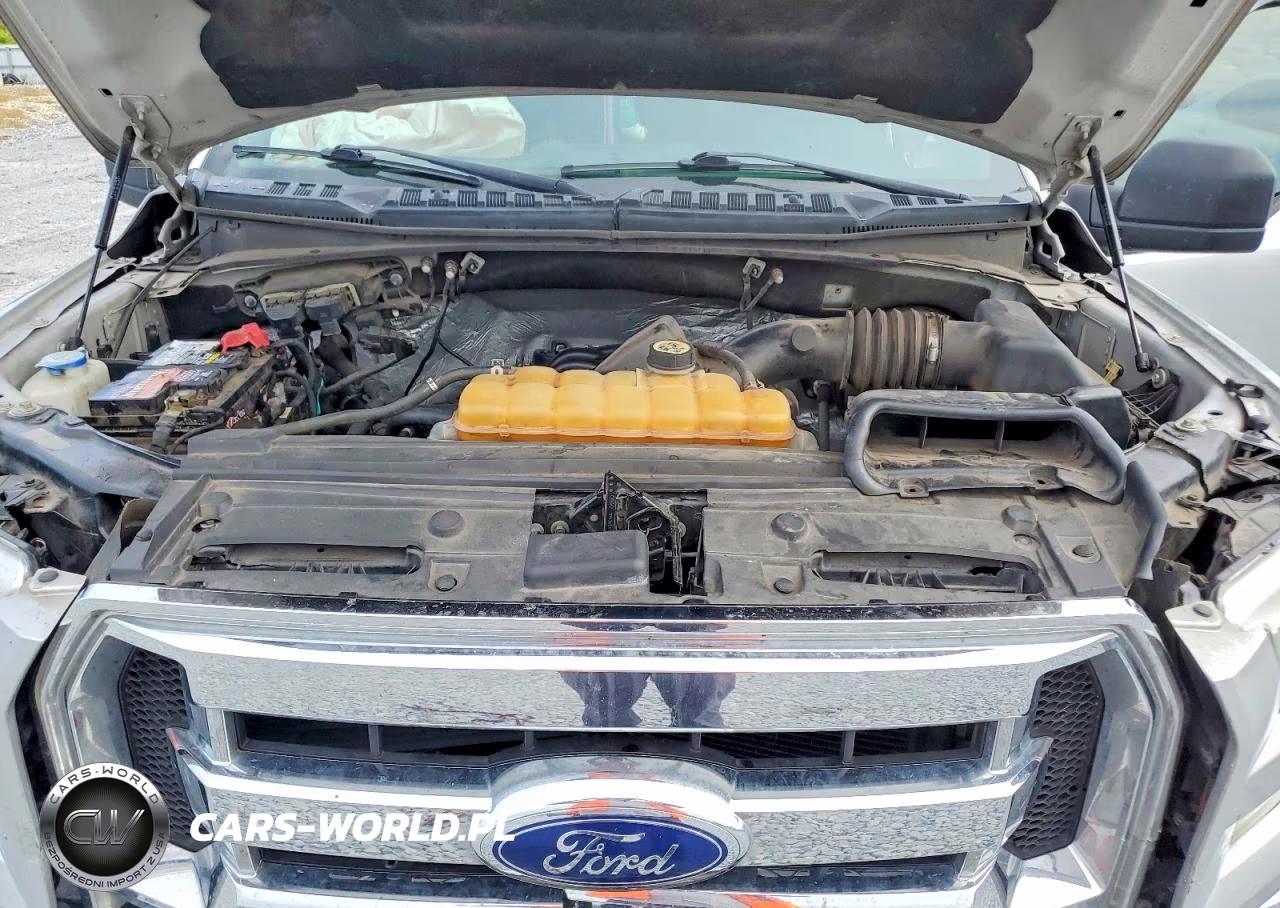 2016 Ford F150 Supercrew VIN:1FTEW1CF5GFB54883 - 11