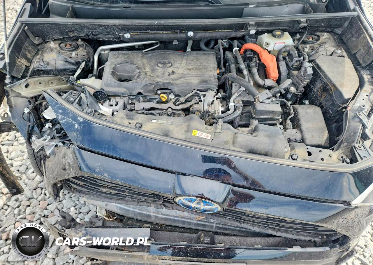 2019 Toyota Rav4 Le VIN:JTMMWRFV3KD031486 - 12