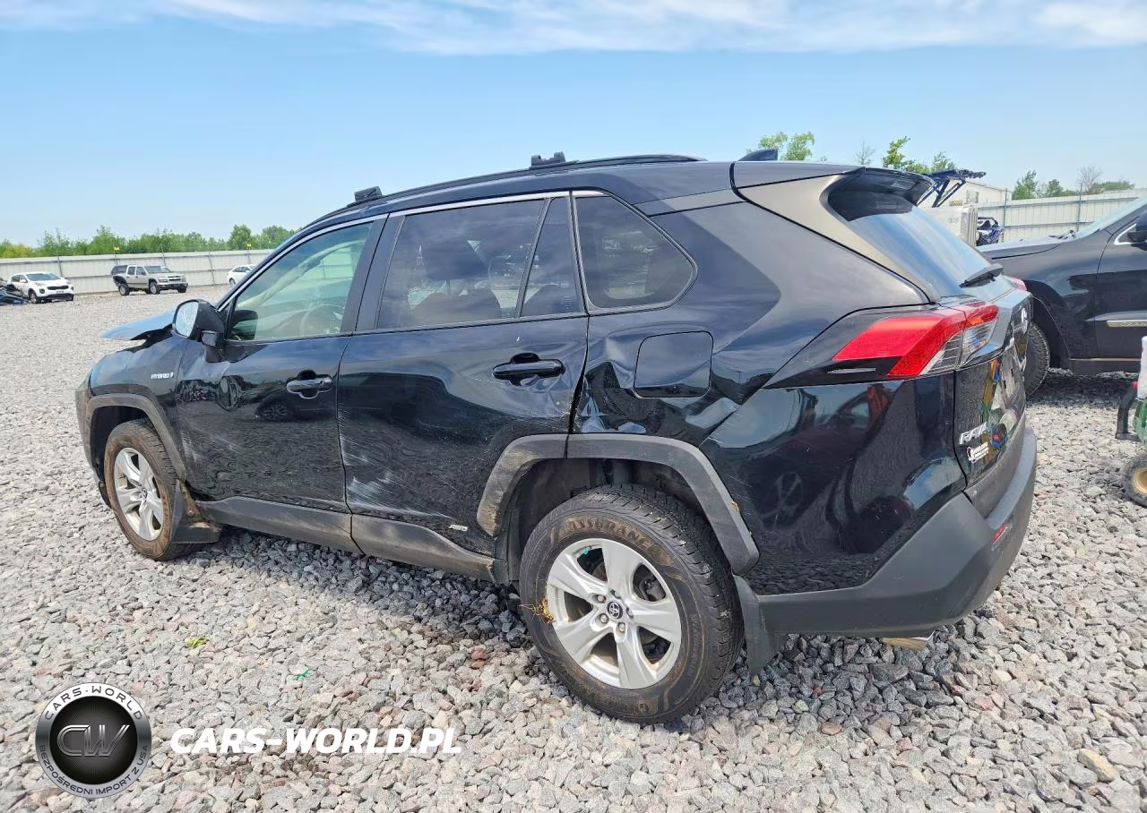 2019 Toyota Rav4 Le VIN:JTMMWRFV3KD031486 - 2