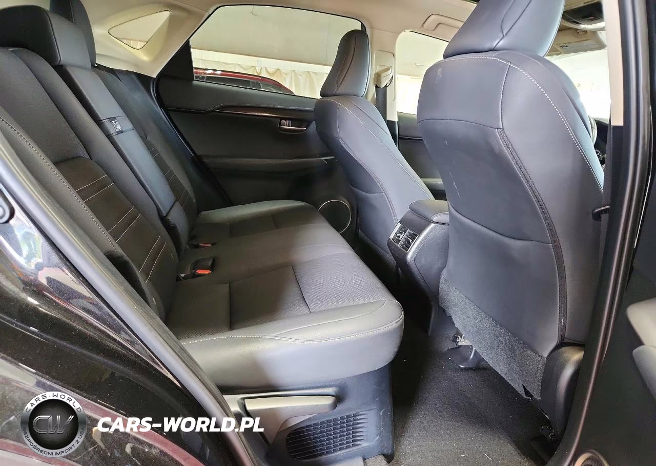 2021 Lexus Nx 300 Base VIN:JTJGARDZ4M5031914 - 11