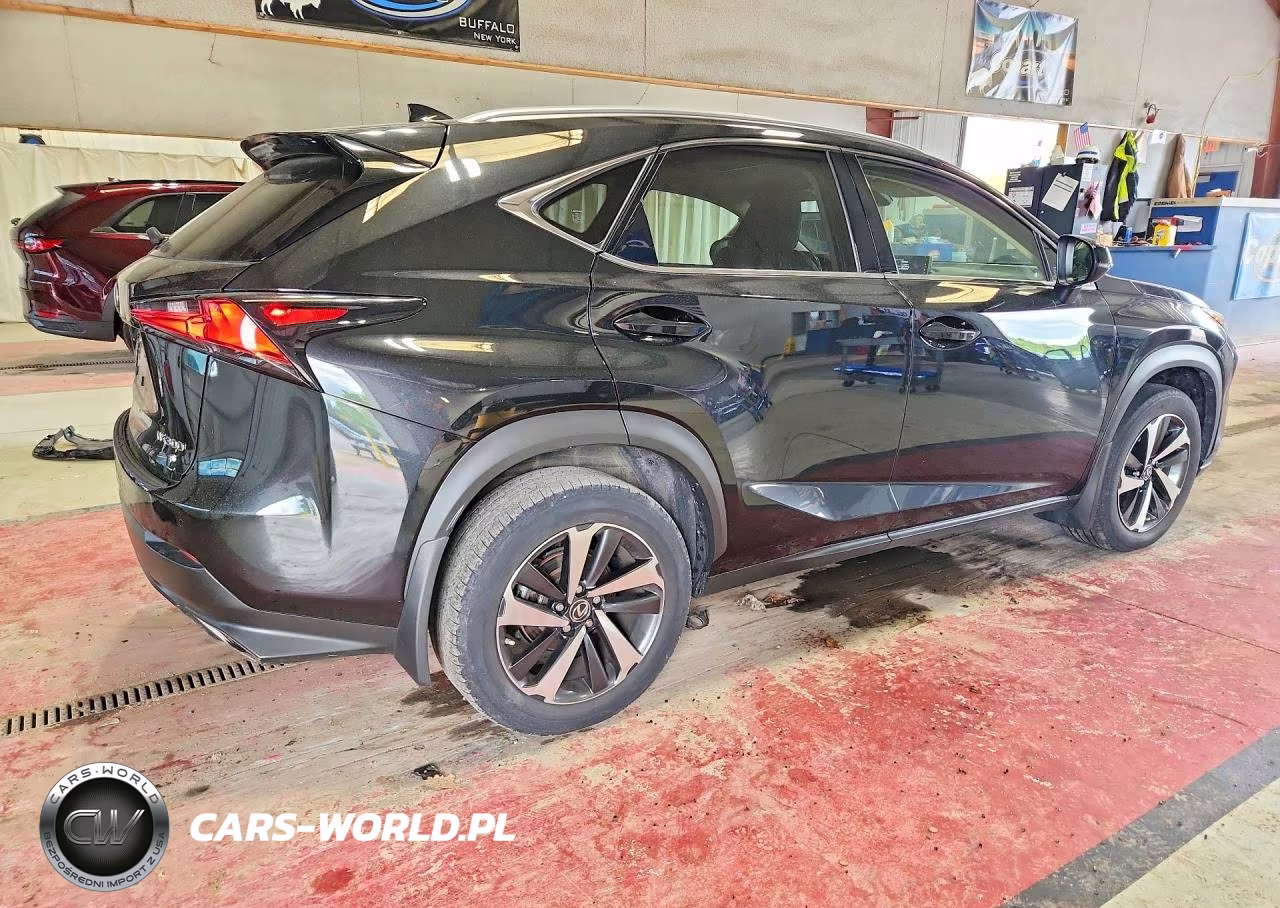2021 Lexus Nx 300 Base VIN:JTJGARDZ4M5031914 - 3