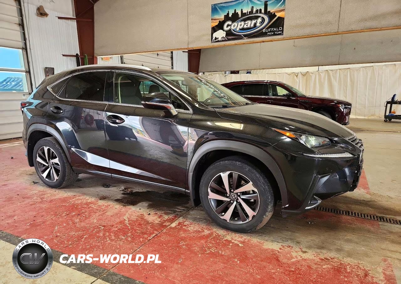 2021 Lexus Nx 300 Base VIN:JTJGARDZ4M5031914 - 4