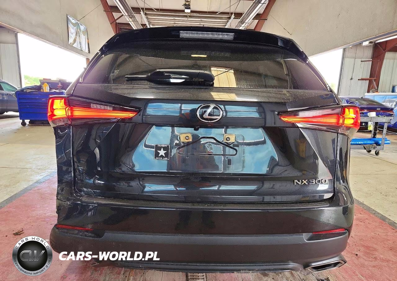 2021 Lexus Nx 300 Base VIN:JTJGARDZ4M5031914 - 6