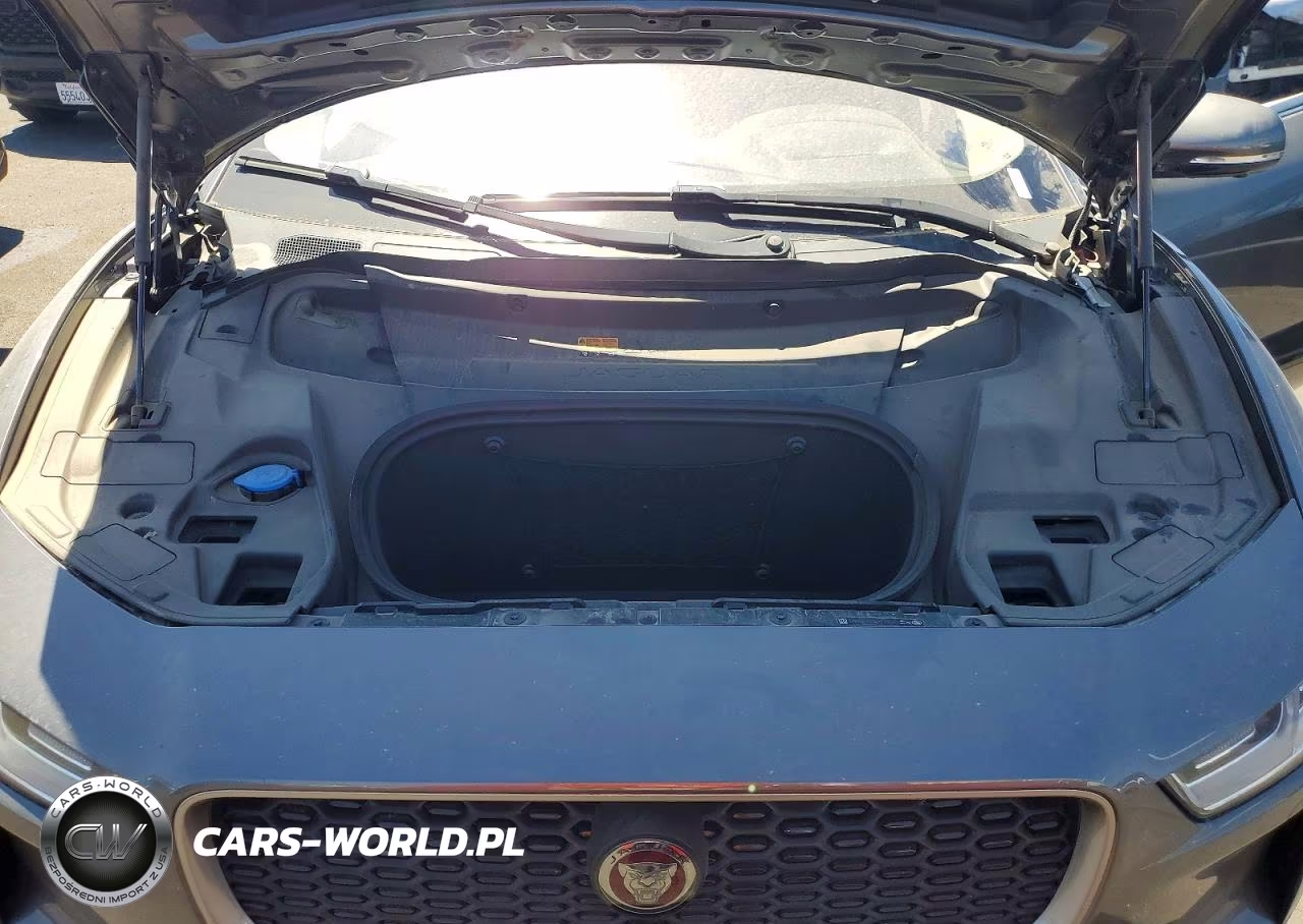 2019 Jaguar I-Pace First Edition VIN:SADHD2S1XK1F72593 - 12