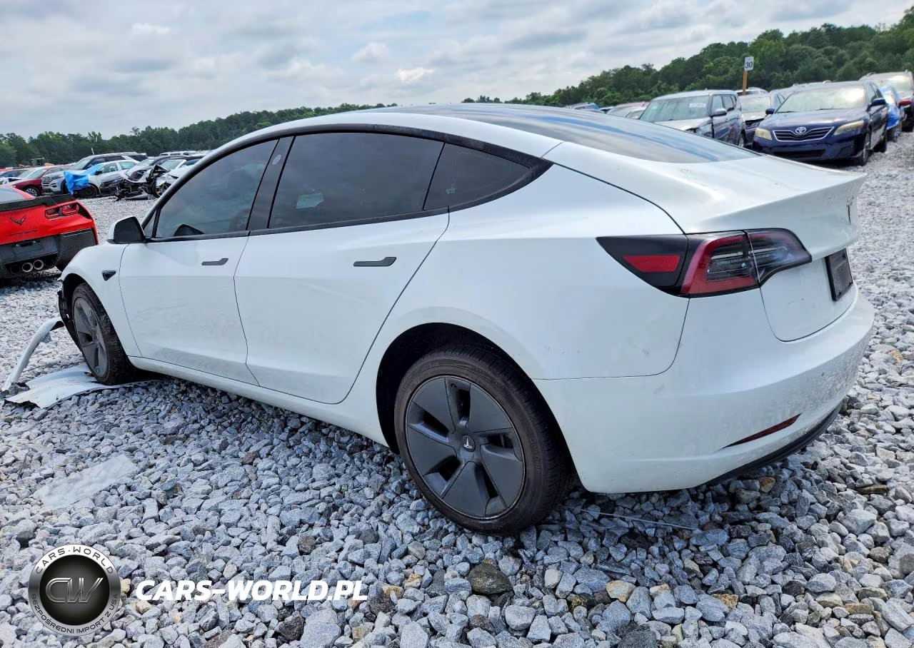 2023 Tesla Model 3 VIN:5YJ3E1EA1PF489848 - 2