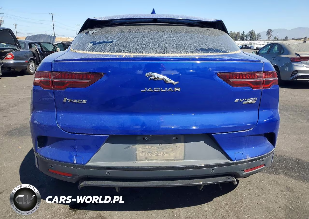 2019 Jaguar I-Pace First Edition VIN:SADHD2S16K1F66497 - 6