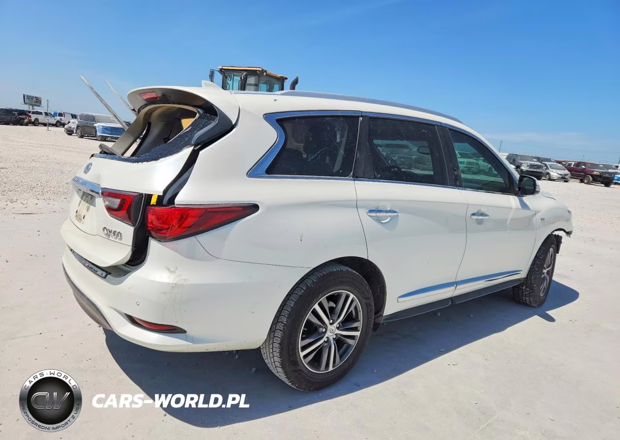 2019 Infiniti Qx60 Luxe VIN:5N1DL0MN0KC501868 - 3