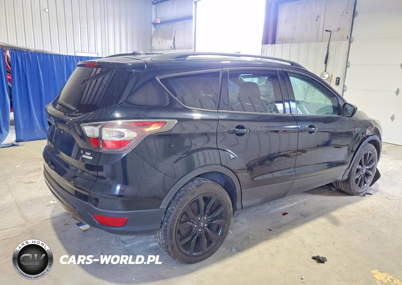 2017 Ford Escape Se VIN:1FMCU0GD3HUA02951 - 3