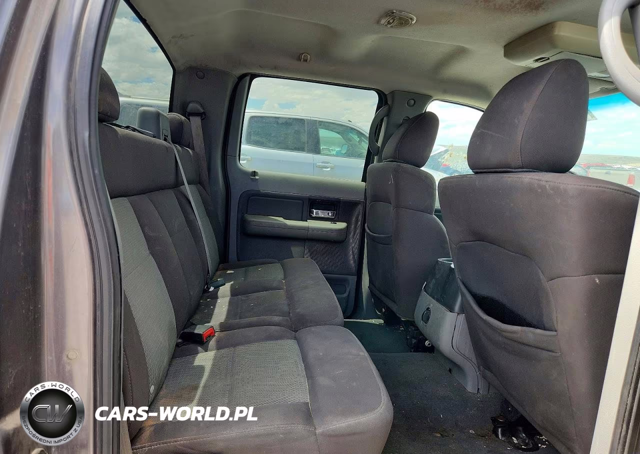 2006 Ford F150 Supercrew VIN:1FTPW14516KB39205 - 10