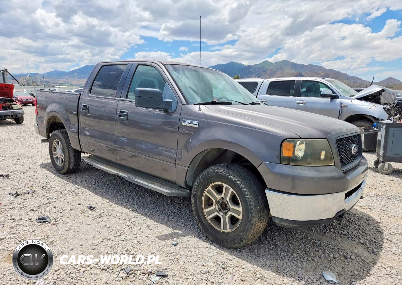 2006 Ford F150 Supercrew VIN:1FTPW14516KB39205 - 4