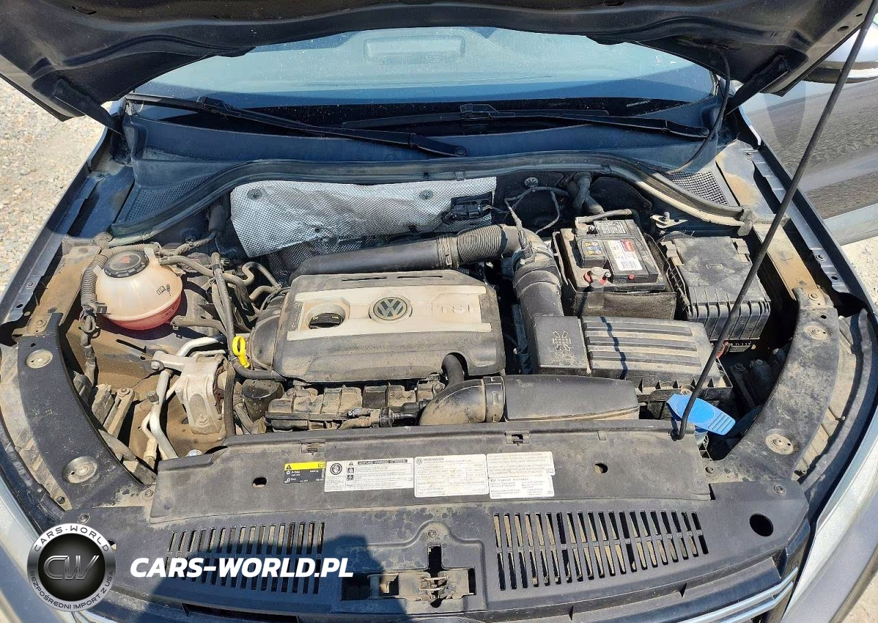 2018 Volkswagen Tiguan Limited VIN:WVGBV7AX7JK000576 - 12