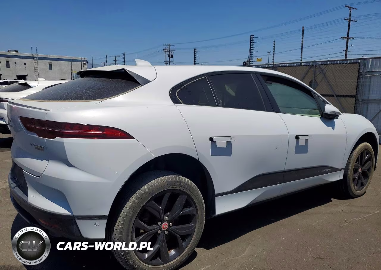2019 Jaguar I-Pace Se VIN:SADHC2S18K1F66276 - 3