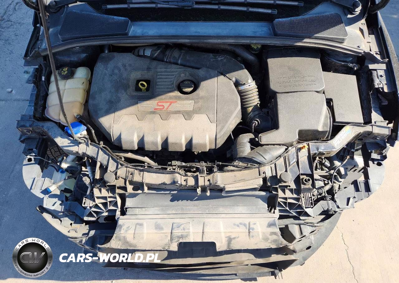 2018 Ford Focus St VIN:1FADP3L98JL222851 - 11