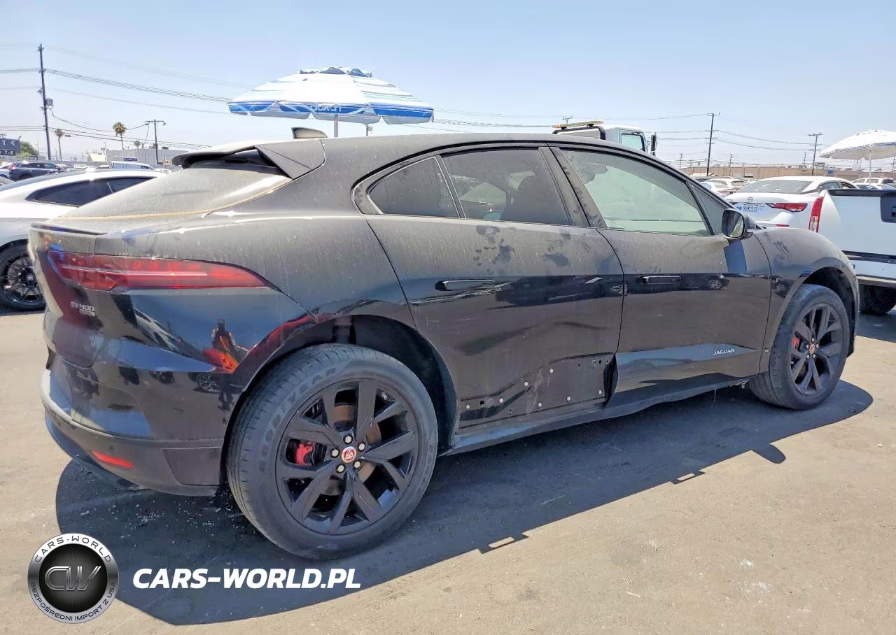 2019 Jaguar I-Pace Se VIN:SADHC2S11K1F66491 - 3