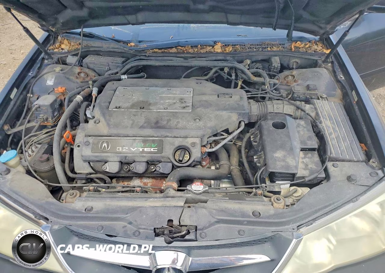 2002 Acura 3.2Tl VIN:19UUA56722A006946 - 11