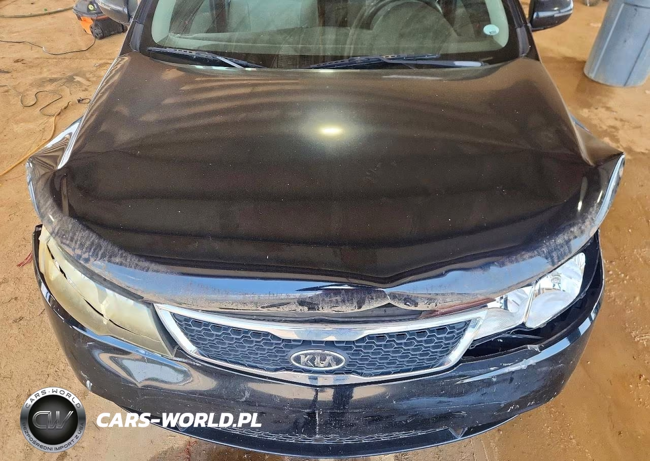 2012 Kia Forte Ex VIN:KNAFU4A2XC5624351 - 11