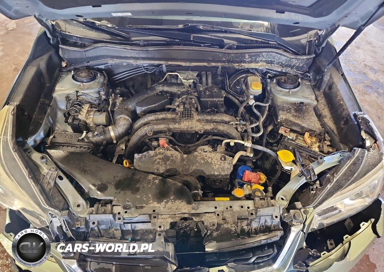 2017 Subaru Forester 2.5I Touring VIN:JF2SJAWC1HH464202 - 12