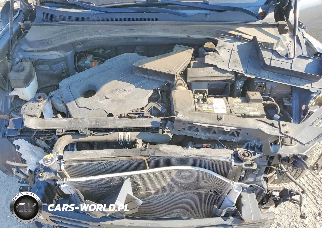 2019 Hyundai Santa Fe VIN:5NMS23AD1KH119734 - 12
