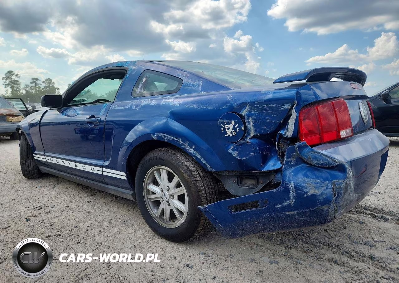 2006 Ford Mustang VIN:1ZVFT80N065260144 - 2