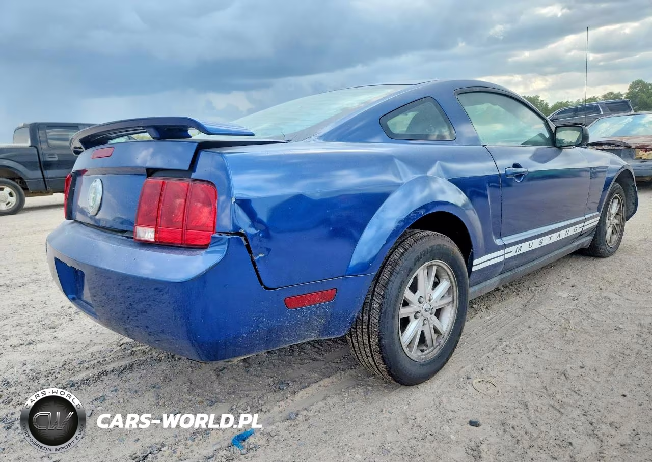 2006 Ford Mustang VIN:1ZVFT80N065260144 - 3