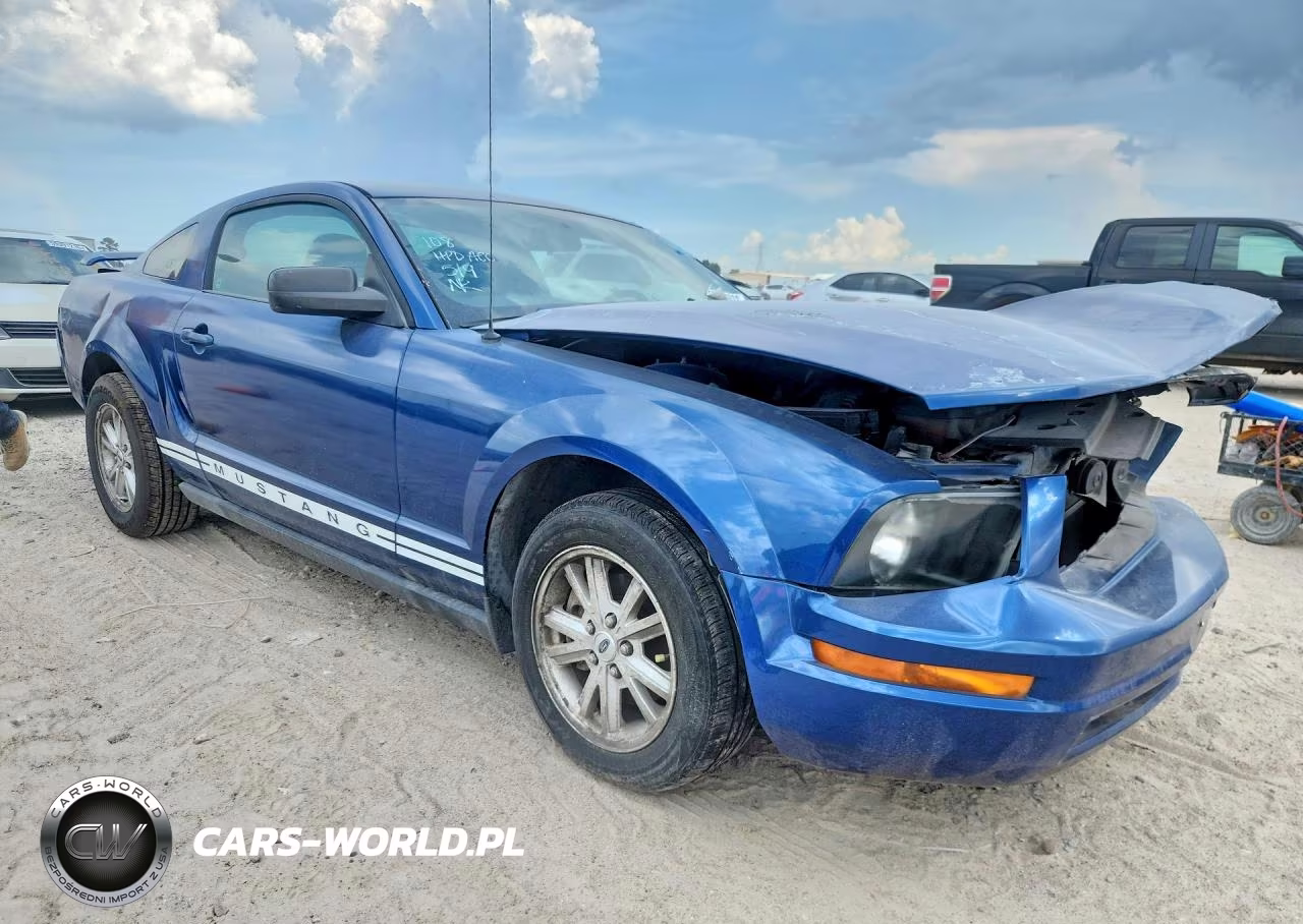 2006 Ford Mustang VIN:1ZVFT80N065260144 - 4