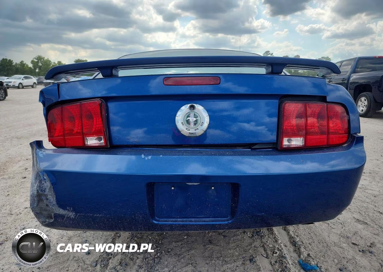 2006 Ford Mustang VIN:1ZVFT80N065260144 - 6