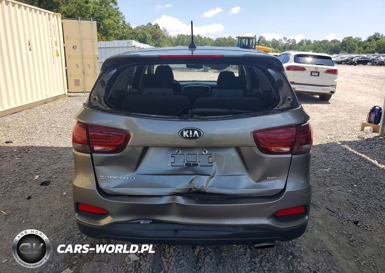 2019 Kia Sorento Lx VIN:5XYPG4A36KG516984 - 6