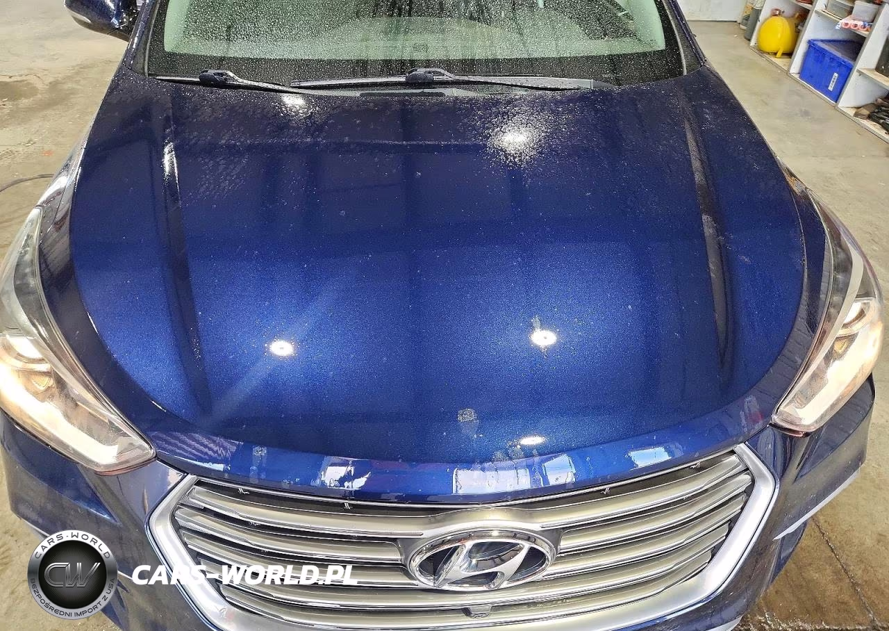 2017 Hyundai Santa Fe Limited Ultimate VIN:KM8SRDHF8HU192332 - 12