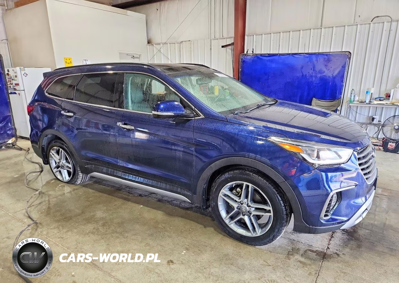2017 Hyundai Santa Fe Limited Ultimate VIN:KM8SRDHF8HU192332 - 4