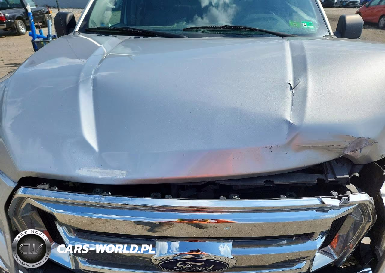 2016 Ford F150 Supercrew VIN:1FTEW1EG3GFB28739 - 11