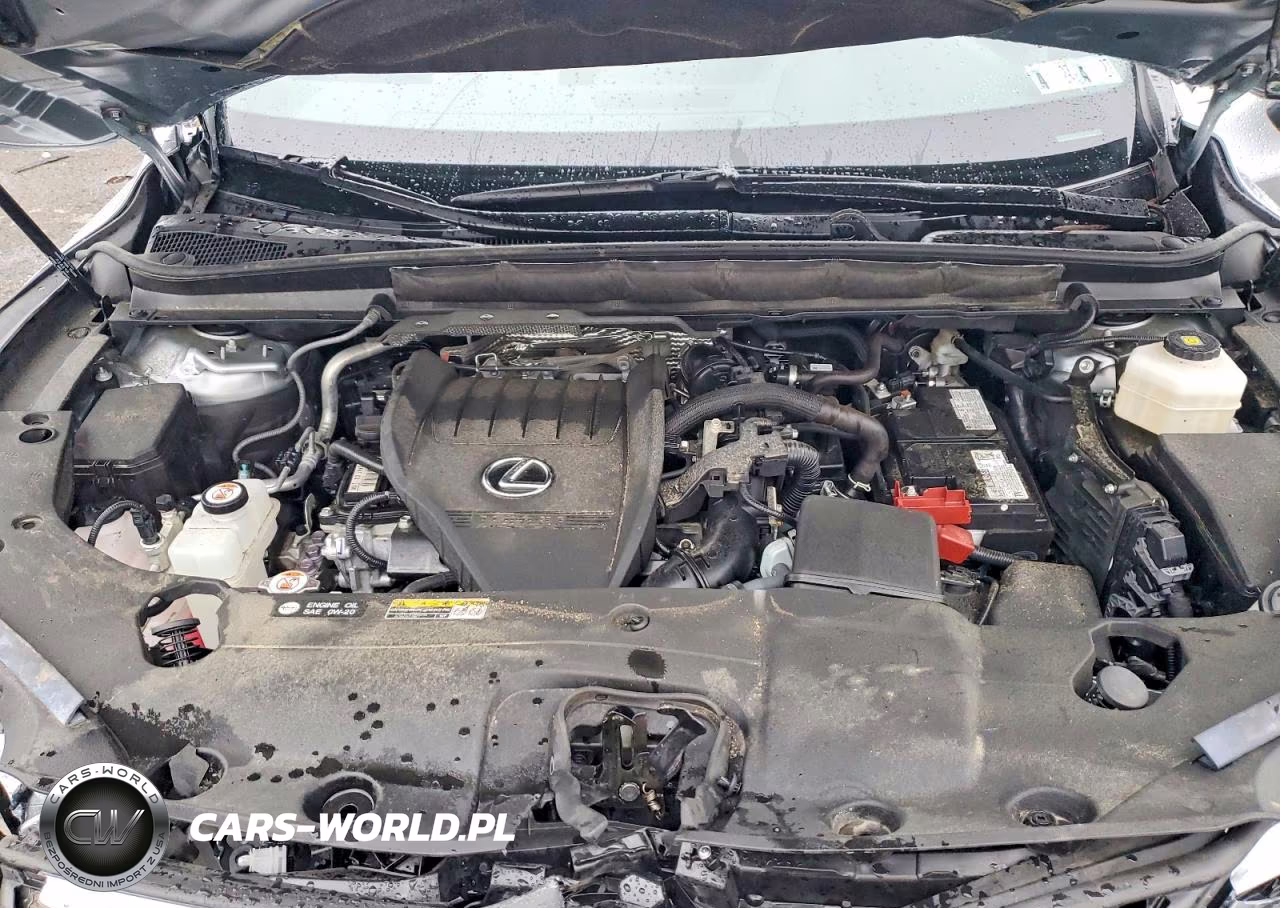 2024 Lexus Rx 350 Premium VIN:2T2BAMCA5RC066432 - 12