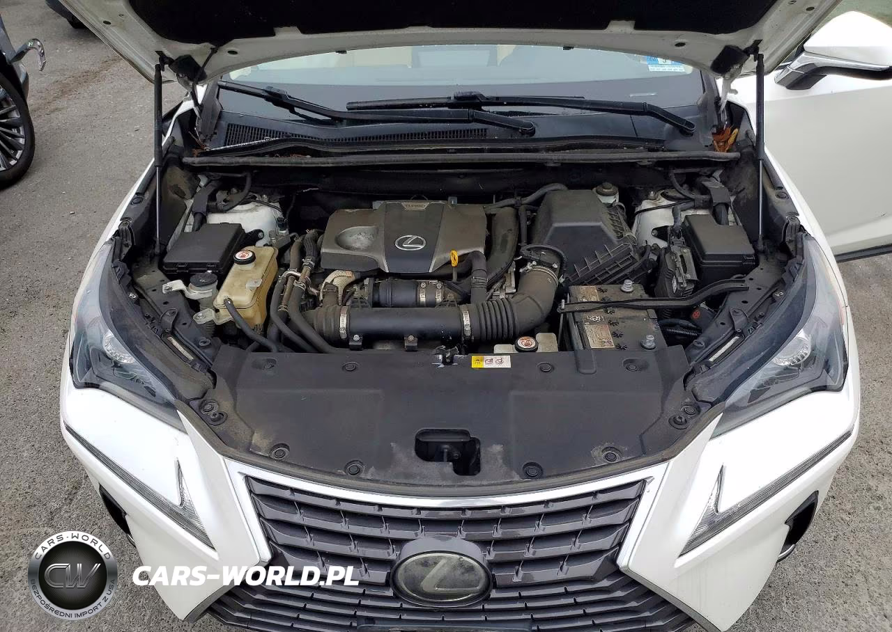 2018 Lexus Nx 300 Base VIN:JTJYARBZ2J2091047 - 11