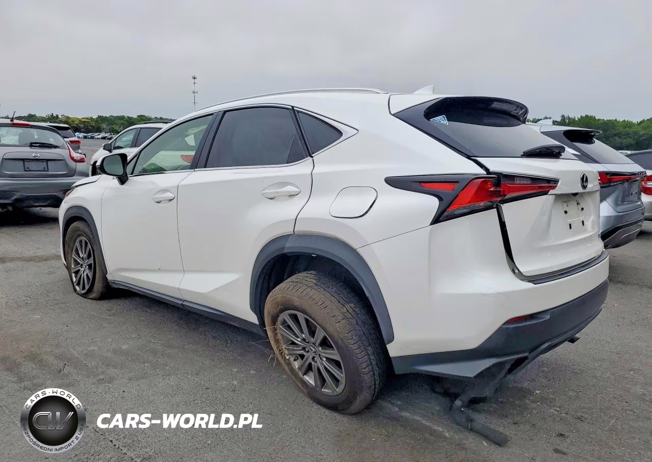 2018 Lexus Nx 300 Base VIN:JTJYARBZ2J2091047 - 2