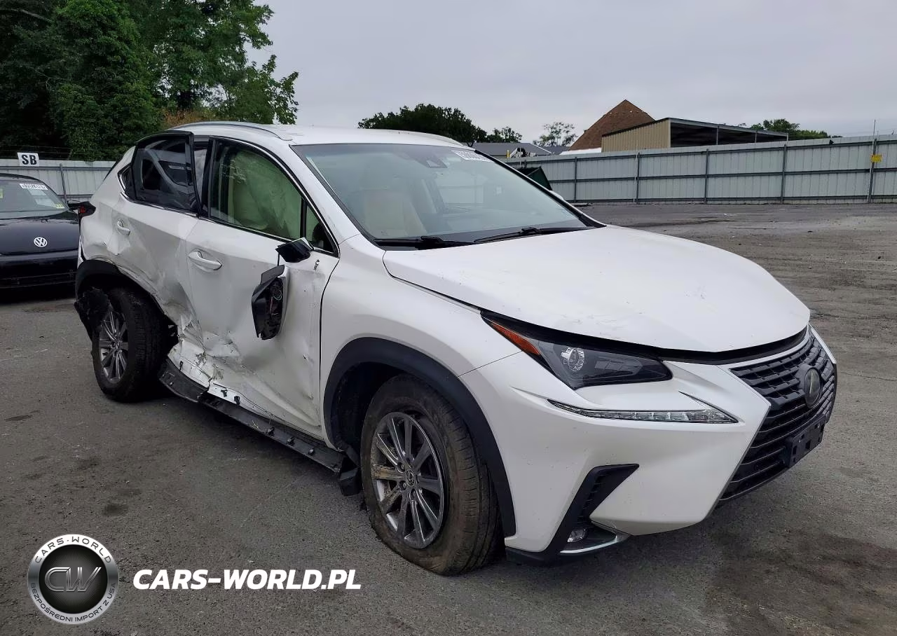 2018 Lexus Nx 300 Base VIN:JTJYARBZ2J2091047 - 4