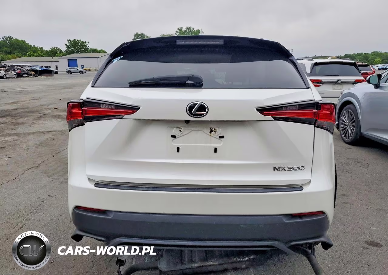 2018 Lexus Nx 300 Base VIN:JTJYARBZ2J2091047 - 6