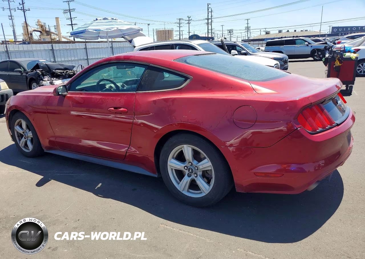 2016 Ford Mustang VIN:1FA6P8AM4G5252942 - 2