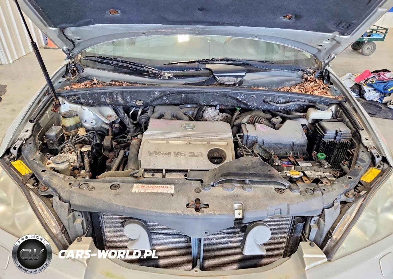 2005 Lexus Rx 330 VIN:2T2HA31U35C082995 - 12