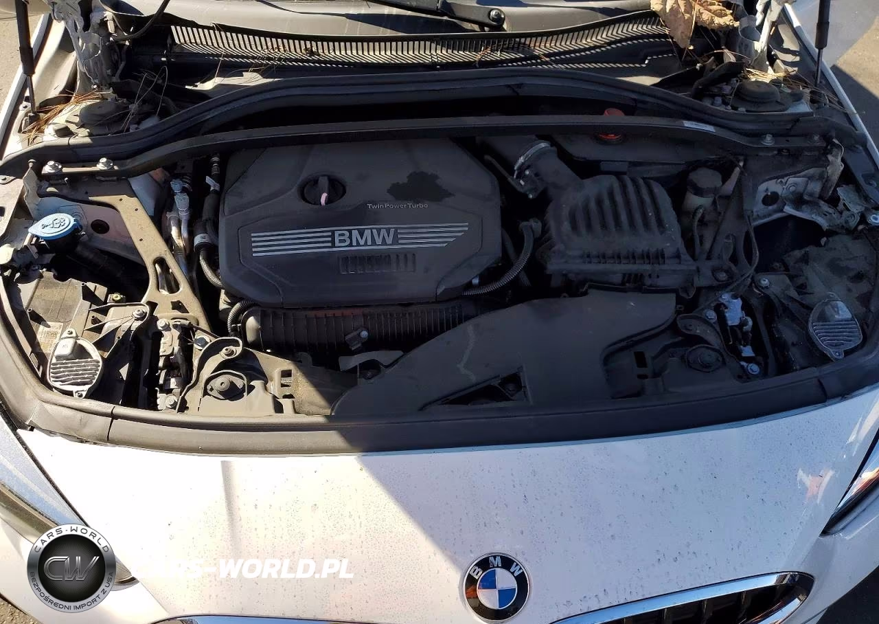 2021 BMW 228I VIN:WBA53AK0XM7H39860 - 11
