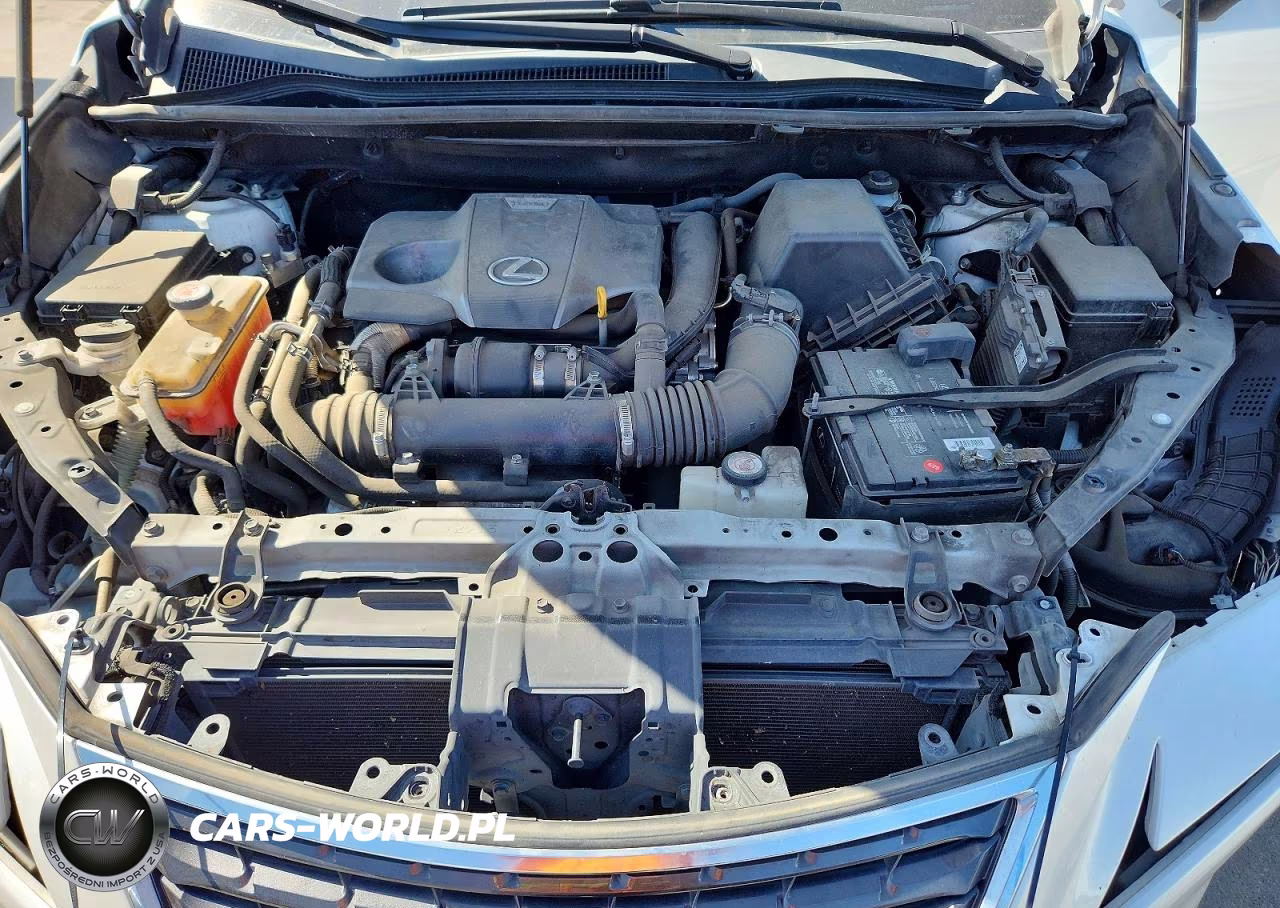 2018 Lexus Nx 300 Base VIN:JTJYARBZ3J2114108 - 12