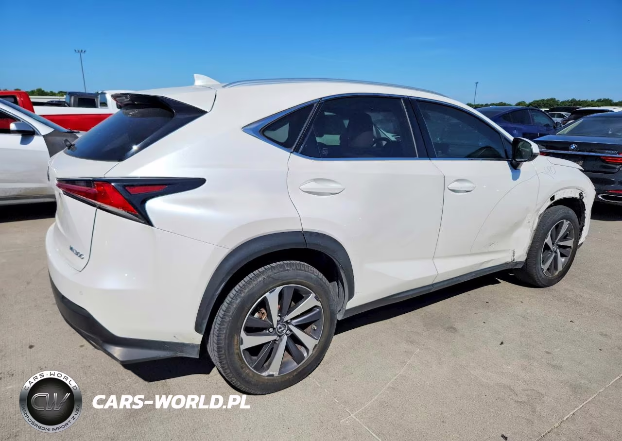 2018 Lexus Nx 300 Base VIN:JTJYARBZ3J2114108 - 3