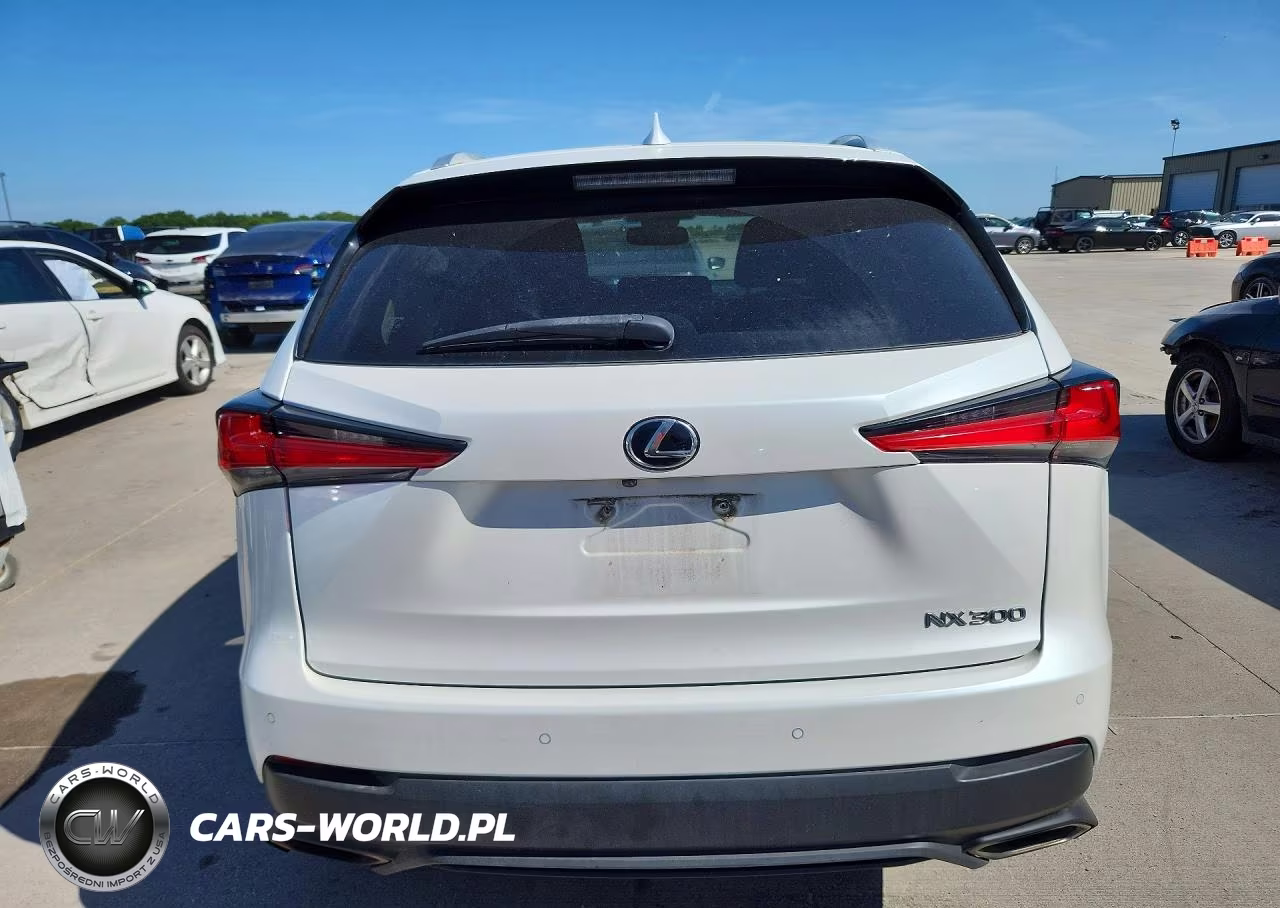 2018 Lexus Nx 300 Base VIN:JTJYARBZ3J2114108 - 6