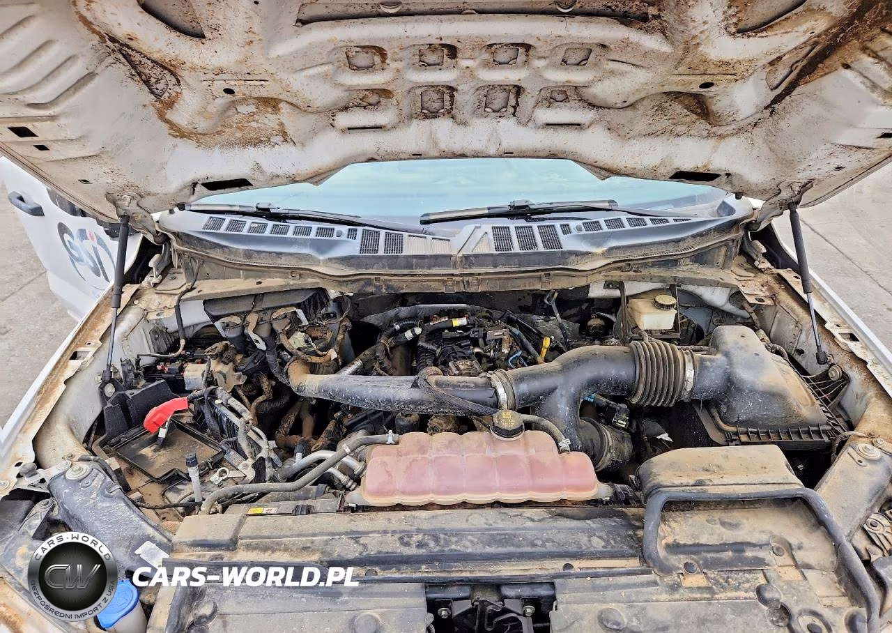 2021 Ford F150 Super Cab VIN:1FTEX1CP6MKD65812 - 11