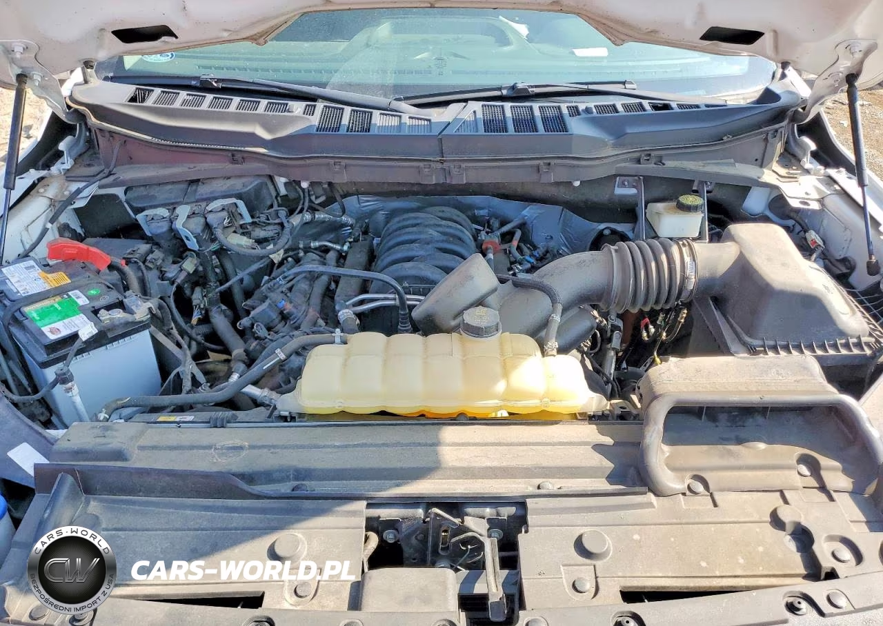 2021 Ford F150 Supercrew VIN:1FTEW1C50MKE55913 - 11