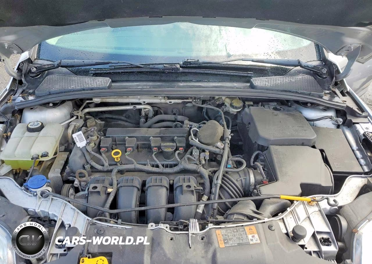 2014 Ford Focus Se VIN:1FADP3K26EL270925 - 11