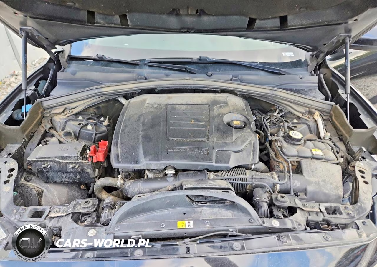 2018 Jaguar F-Pace Premium VIN:SADCJ2FX7JA257232 - 12