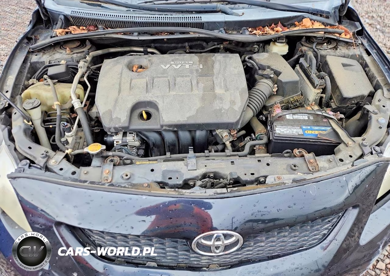 2010 Toyota Corolla Le Plus-Le Premium VIN:1NXBU4EE8AZ336607 - 11