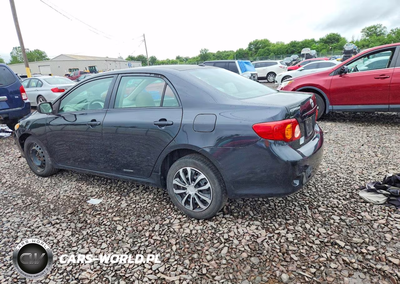 2010 Toyota Corolla Le Plus-Le Premium VIN:1NXBU4EE8AZ336607 - 2