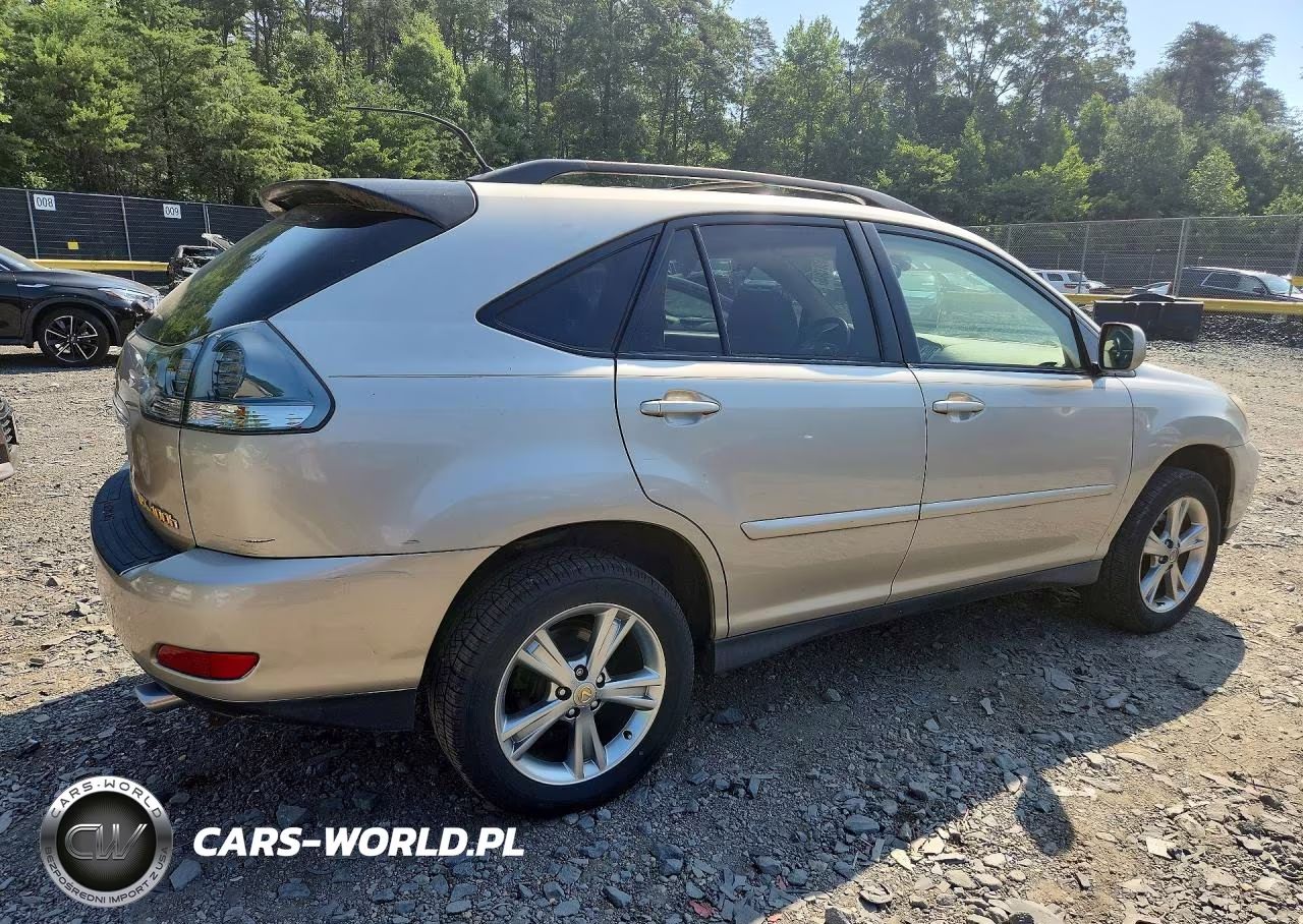 2006 Lexus Rx 400 VIN:JTJHW31U460030452 - 3